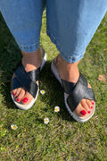 Tulip1465Re | Svart
